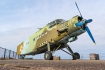 Antonov An-2P